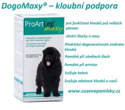 DogoMaxy®